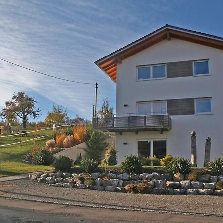 Schmid'S Ponyhoefle Friedrichshafen Bagian luar foto