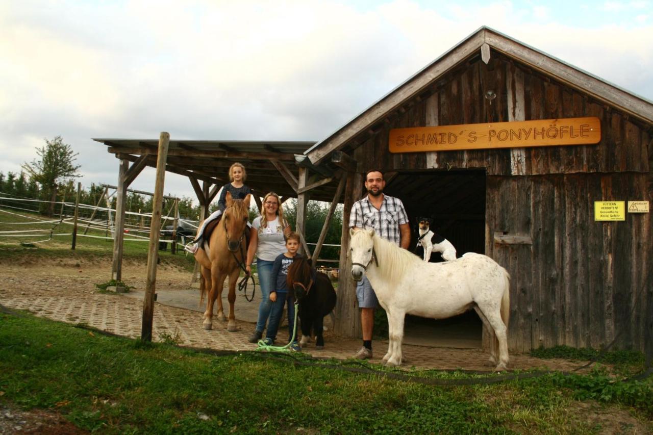 Schmid'S Ponyhoefle Friedrichshafen Bagian luar foto